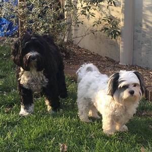 Meet your Posher, Becky